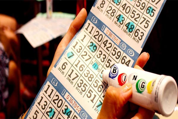 Bingo Bingo