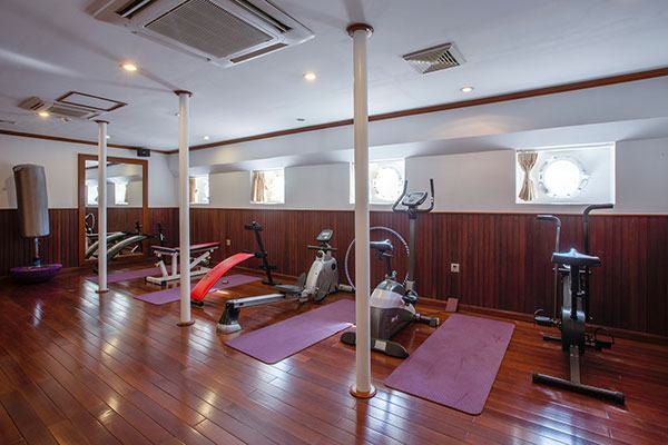 Mekong Pandaw Gym